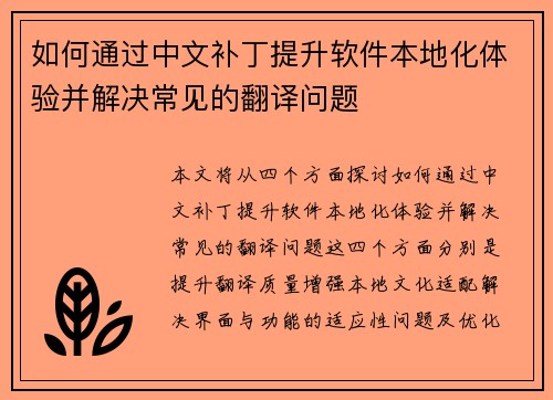 如何通过中文补丁提升软件本地化体验并解决常见的翻译问题